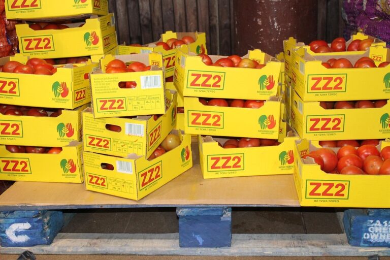 PR Boxes Wholesale: Cost-Effective Ways to Impress Media and Influencers